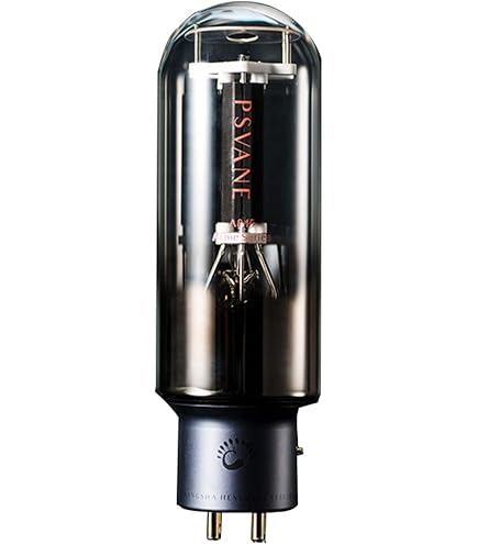 真空管　８４５　米国製 Amazon.co.jp: LINLAI ZX-845 対ZXシリーズ整合電力真空管HIFI