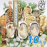 殻付き 牡蠣　１０ｋｇ【冷蔵便】兵庫県 相生海域　漁師 が販売、とれたて新鮮で す。生食用 かき