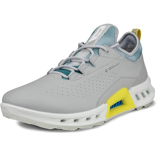 Amazon | [エコー] BOA 防水 ゴルフシューズ バイオム シーフォー EU44