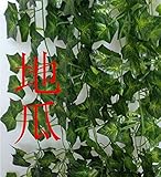 (KAMOMIRU)　観葉植物　ラティス　壁掛　造花　リーフ　フラワー　セット　目隠し (葉っぱ　５束セット　Ｂ)
