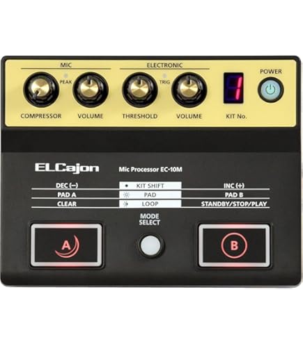 Amazon | Roland ローランド エレクトロニックレイヤードカホン EC-10