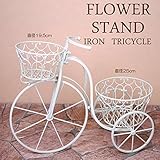 フラワースタンド アイアン製 三輪車 花台 ポット2点 簡単組立品 鉢置き 花置き台 アイアンプランタートライシクルクリーム 自転車 ガーデンオブジェ 玄関 庭 飾り ガーデニング アンティーク 雑貨