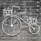 YI LU Deng JU- ヴィンテージ鉄の自転車の装飾フラワーフレームフラワーバスケットの壁の壁掛けバルコニーフラワースタンドの多層ペンダント (色 : 白)