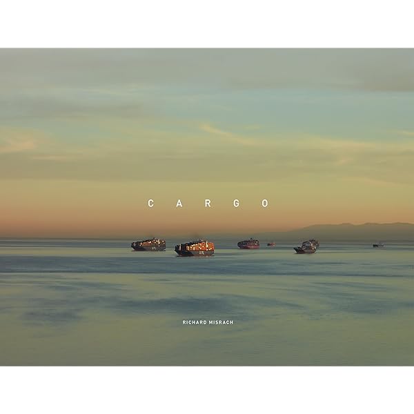 アート・デザイン・音楽 Richard Misrach on the beach Richard Misrach: On The Beach | Fraenkel Gallery