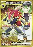 ポケモンカードゲームSV sv9 拡張パック バトルパートナーズ Nのゾロアークex UR (131/100) | ポケカ 悪 1進化