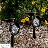 FUNLAVIELED Solar Powered Garden Landscape Light Outdoor Light for Landscape, Garden, Driveway, Path