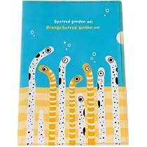 Amazon.co.jp: ミニ レターセット レター チンアナゴ ＆ ニシキアナゴ
