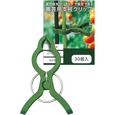 Amazon.co.jp 売れ筋ランキング: オベリスク の中で最も人気のある商品です