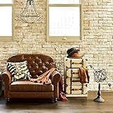 チェスト MCH-6004LBR 4934257209236 ライトブラウン トランク型 (代引き不可) インテリア 収納・ケース・ラック mirai1-502272-ah [並行輸入品] [簡素パッケージ品]