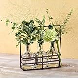 切り花 花材 飾って楽しむ「ヴェール ムース」(フラワーベース付き) 日比谷花壇