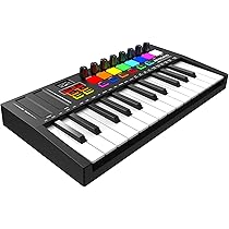 鍵盤楽器 Dora Amazon | 2024年限定200台 鈴木楽器製作所 SUZUKI andes25F
