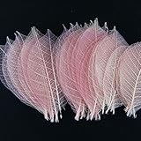 ~Coco Heart~ ハーバリウム　花材　ミニスケルトン　リーフ　大　ピンク　20枚　ハーバリウム　キャンドル　アロマワックスバー　作りに（木の実・ドライフラワー.リース、アレンジ）