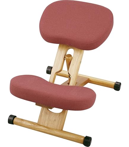 Amazon.co.jp: バランスラボ バランスシナジー専用 プレミアムニット