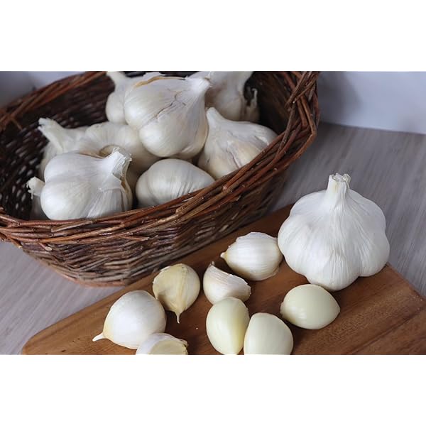 Amazon.co.jp: にんにく 平戸ニンニク 約500g入 : DIY・工具・ガーデン