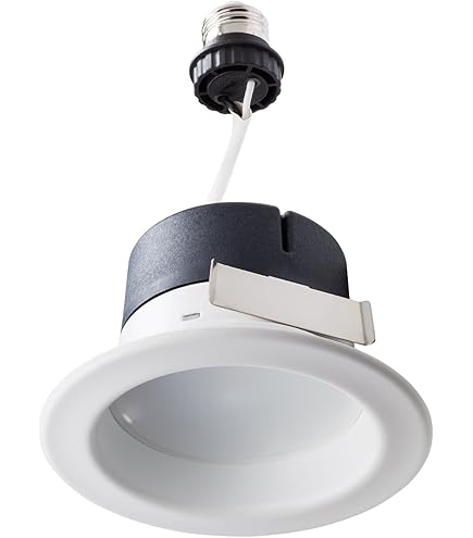 Amazon.co.jp: Philips Hue ホワイト アンビアンス 調光機能付き LED