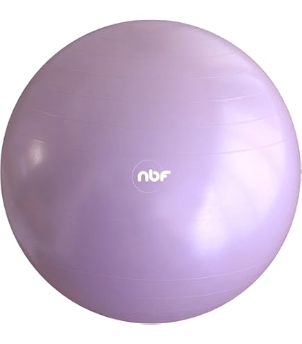 Purple Opti Exercise Ball Retrospec Luna Yoga Ball Retrospec Base