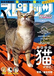 週刊スピリッツ 2017年04-05合併号 [Big Comic Spirits 2017-04-05]