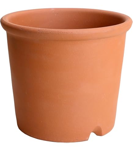Amazon.co.jp: 鉢 KANEYOSHI 【日本製/安心の国産品質】 陶器 植木鉢
