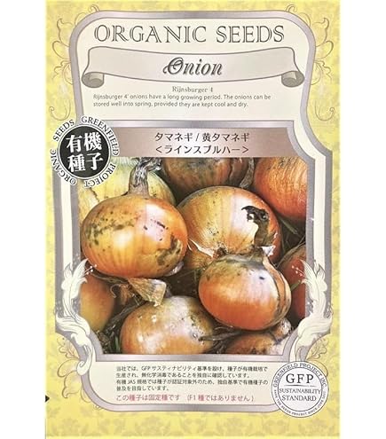 トップゴールド305 タマネギ 種子 タカヤマシード 2dl 1缶 野菜の種/種子 早春収穫！超極早生玉葱！トップゴールド305
