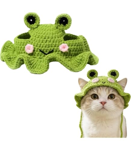 Amazon.co.jp: なめ猫 レトロ なめんなよ猫 下敷き ！ : ペット用品