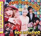 �n���V�I������