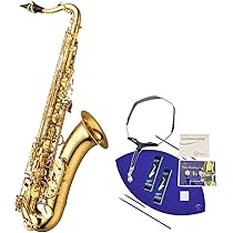 YANAGISAWA ヤナギサワテナーサックス　TWO10 在庫あり即納可能】 YANAGISAWA T-WO10 テナーサックス ブラス製