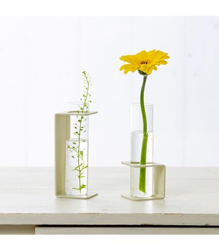 Amazon.co.jp: バカラ 花瓶 ○ オルグ グレイン ベース ヴェース