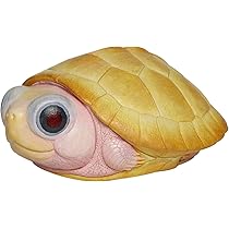 亀のフィギュア Amazon | BACALYSO | 動物惑星 3.0 カメ 亀 ガチャガチャ