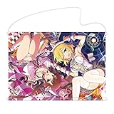 シノビマスター 閃乱カグラ NEW LINK B2タペストリー 両奈＆両備(新乳祭)