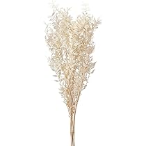 高品質★超特大130㎝　パンパスグラス10本 パンパスグラス ホワイトフェザー （ 白花 ） 10.5cmポット苗