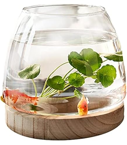 新品未使用 シュプリーム 金魚鉢 fishbowl ガラス 花瓶 新品未使用 シュプリーム 金魚鉢 fishbowl ガラス 花瓶 2025年