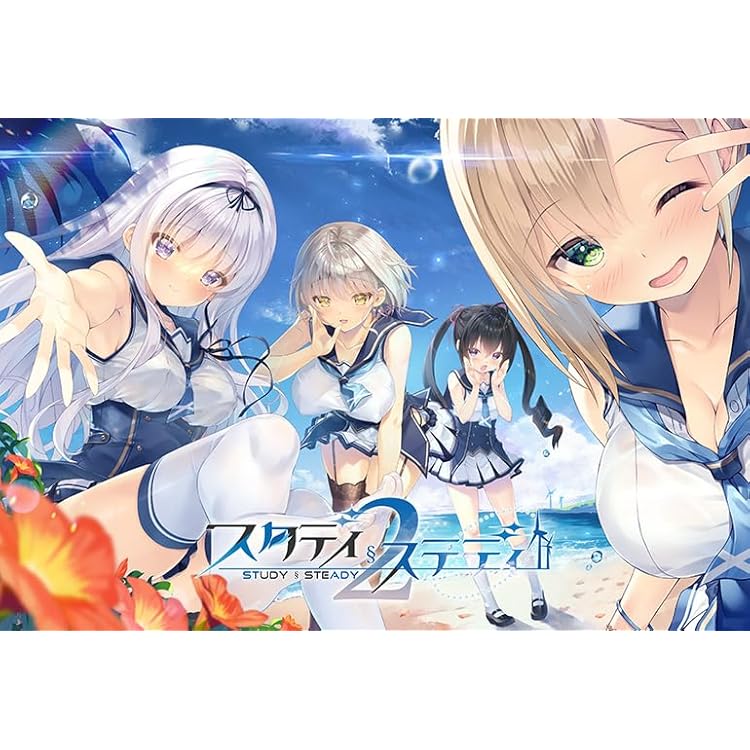 PCソフト スタディ§ステディ　タペストリー2種類 駿河屋 -【アダルト】<新品/中古>【駿河屋限定】 スタディ