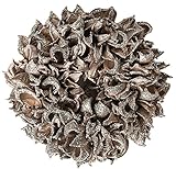 大橋新治商店 木の実のリース Natural Wreath リース 20cm グレー 28-026