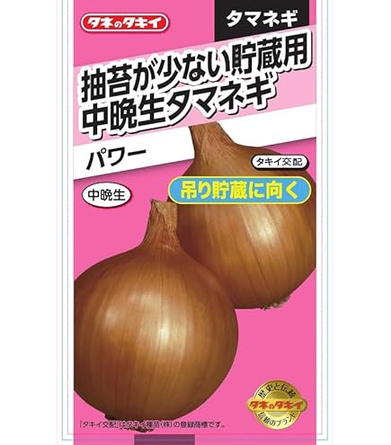 Amazon | 株式会社トーホク 泉州黄玉葱 08536 茶 | 野菜