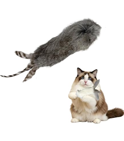 Amazon.co.jp: モフ缶 泣きむし猫のキィちゃん ましゅもっち