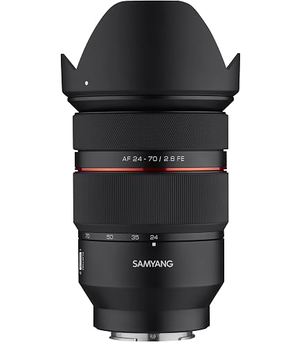 TAMRON 28-75mm F2.8 RXD A036SF Lens for Sony-FE : Amazon.sg