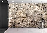 wall26 - 自己粘着壁紙 大きな壁画シリーズ 100"x144" WMR-WP-X-D068-100x24x6