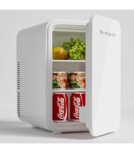 Amazon | GOHHME 小型冷蔵庫 10L 冷温庫 0~65℃ ミニポータブル 小型