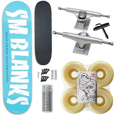 数回使用　ポーラースケート　コンプリート　LURPIV スケボーBONES 数回使用 ポーラースケート コンプリート LURPIV スケボーBONES