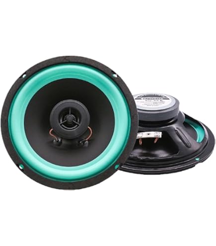Amazon.co.jp: RE Audio New Rex 175ワット RMS 12インチ サブ