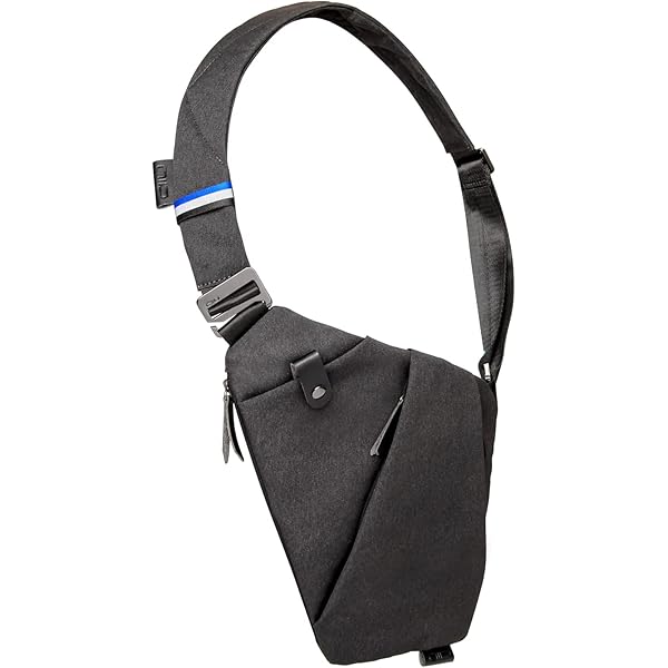 Amazon | NIID-FINO F4 スリングバッグ、スイッチ2用クロス