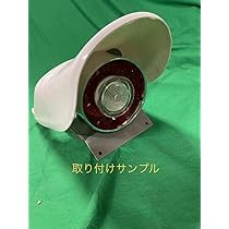 Amazon.co.jp: チェリーテール スカイラインテール GS400テール ザリ 