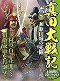 真田大戦記　六　下　和歌山城の死闘