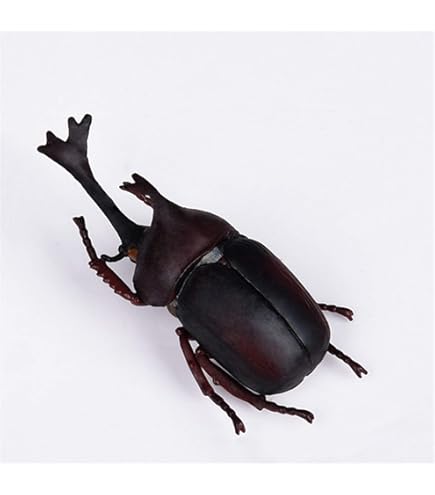 Amazon | タガメ Revogeo リボジオ 海洋堂 ビッグサイズ可動昆虫