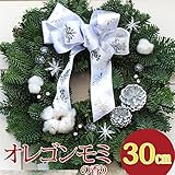 クリスマスリース 玄関 手作り[オレゴンモミのダイヤモンドダストリース] シルバーオーガンジー