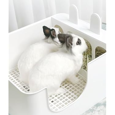 Amazon.co.jp 最新リリース: 小動物用ケージ内装 の新着ランキングです。