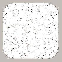 Amazon | ヒサゴ 天井シール ジプトーン A4(210X297mm) 天井 補修 傷