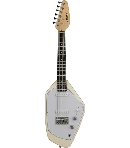 Amazon | FERNANDES ZO-3 芸達者 '19 2TS フェルナンデス アンプ内蔵