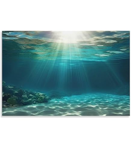 Amazon.co.jp: ポスター クリスチャン ラッセン Harmony (foil