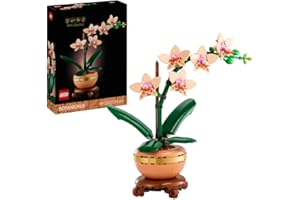 LEGO Botanicals Happy Plants Shelf Decor 10349, Flower Toy Building Set for Kids, Nature Gift, Floral Bedroom Decoration, Dracaena and Pilea in Yellow and Blue Pots (217 Pieces)